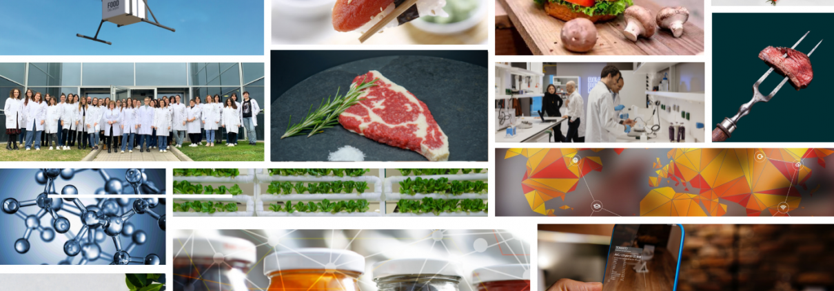 Webinar ICEX