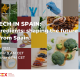 Webinar ICEX